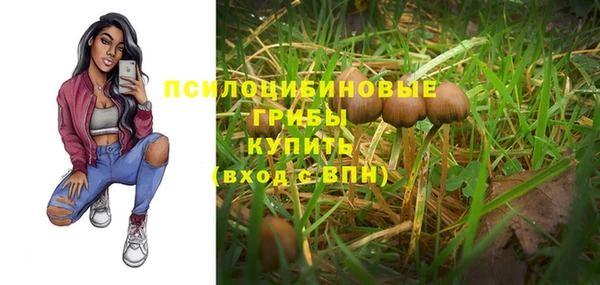ПСИЛОЦИБИНОВЫЕ ГРИБЫ Балахна