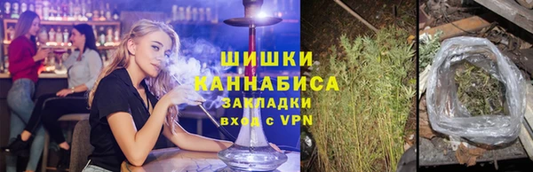 ПСИЛОЦИБИНОВЫЕ ГРИБЫ Балахна