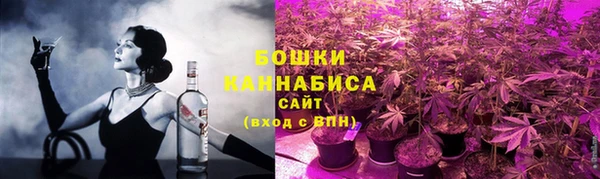 стаф Дмитриев
