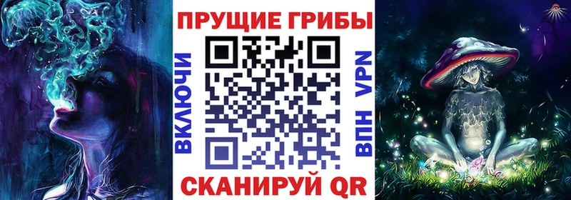 наркошоп  Шлиссельбург  Галлюциногенные грибы ЛСД 